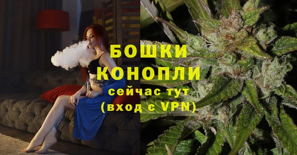 spice Липки