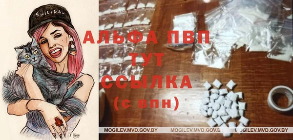spice Липки