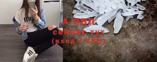 spice Липки