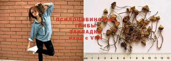 spice Липки