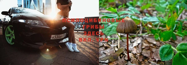 MDMA Ладушкин