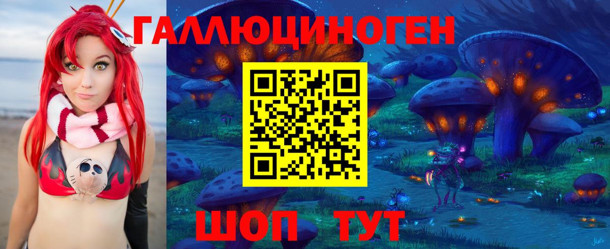 Галлюциногенные грибы Psilocybine cubensis Семилуки